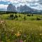 Schererhof Dolomitenblick