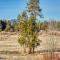 Meadow Walk Cabin - La Pine