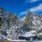 Tamarron Lodge Loft - 332