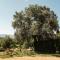 La Viña. Casa rural en el campo - Tordera