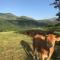 Mont-Dore: Beau T2 Centre 5 pers, Lumineux avec Wifi - FR-1-608-134 - 勒蒙多尔