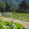 Coste del Gaggio - Country House B&B - Garda Trentino