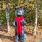 Gatlinburg Towers Condo Unit 501 - Great Location! Close to Town! condo