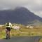 Cottage 427 - Clifden
