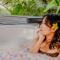 The Sebali Resort - 乌布