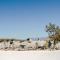 AfriCamps at Karoo 1