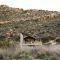 AfriCamps at Karoo 1