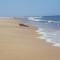 Sea View Holiday Chalet, access to sandy beach - Pets go free