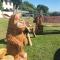 SAUNTON SUNSHINE COTTAGE 3 Bedrooms