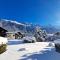 Chamonix Appartement Vue Mont Blanc avec Jardin - Chamonix-Mont-Blanc