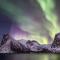 Senja Living