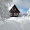 La cabane au pied des pistes - Шастре