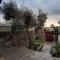 THE ROCK HOUSE - Beautiful countryside with mandarins oranges and olive trees,. Near Limassol at Eptagonia village.