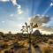 The Desert Nomad Retreat in Joshua Tree Village - Joshua Tree
