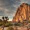 The Desert Nomad Retreat in Joshua Tree Village - Joshua Tree
