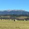 Cabaña Pampa Pinuer Coyhaique