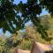 Neerville Waterfall Glamping- Neer waterfall