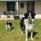 Ulva Cottage - Historical BnB Ulva Cottage - Historical BnB