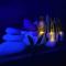 VIP LOUNGE Appartement avec Jacuzzi et jardin