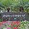 Kauai Regency at Poipu Kai by Coldwell Banker Island Rentals