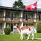 Jungfrau Hotel Annex Alpine-Inn