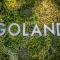 Goland Hotel