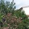 Gorgeous Home In Rabac With Wifi