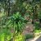 PawPaw Resort
