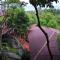 PawPaw Resort - Lamai