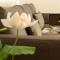 Suite Apartments - Corso51