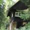 Black Forest House - Wolfach