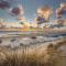 The island life Texel