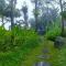 Villa & Farm for 5, near Sidemen w/ Mt. Agung View - Selat