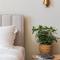 LIV Mackenzie Beach Suites Larnaca ADULTS ONLY