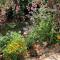 Gartenblick