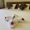 Nirosha Guest House