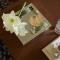 Mon Repos Palace - Adults Only