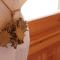 Apartment Ambre 24 by Interhome - فيلار سور أولون