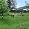 Apartment Helena Harrachov by Interhome - Harrachov