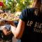 Camping la Sousta****