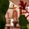 Hotel Bello Caribe Express
