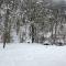 VIKENDICA NOLE Jahorina