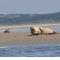 Plaisir en baie