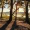 Secluded Tiny House by the Marsh with Hunting Island Beach Pass - St. Helena Island