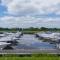 Stylish Lodge At Windsor Racecourse Marina - 温莎