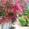 Hotel Les Jardins de Bormes, sauna & jacuzzi