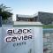 Black Caviar
