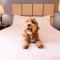 Candlewood Suites Detroit - Troy