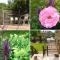 Aurora Bed & Breakfast