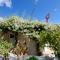 THE OLIVE MILL GUEST HOUSE